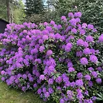 Haus Schrammsteinblick Holiday home Ostrau (Sachsische Schweiz-Osterzgebirge)