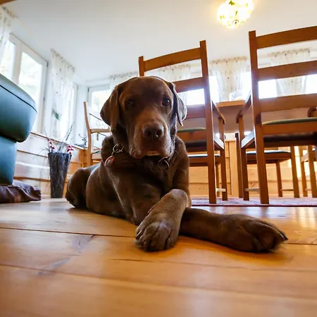Haus Schrammsteinblick Ferienhaus