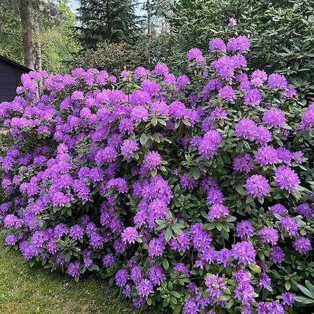 Haus Schrammsteinblick 度假居 Ostrau (Sachsische Schweiz-Osterzgebirge)