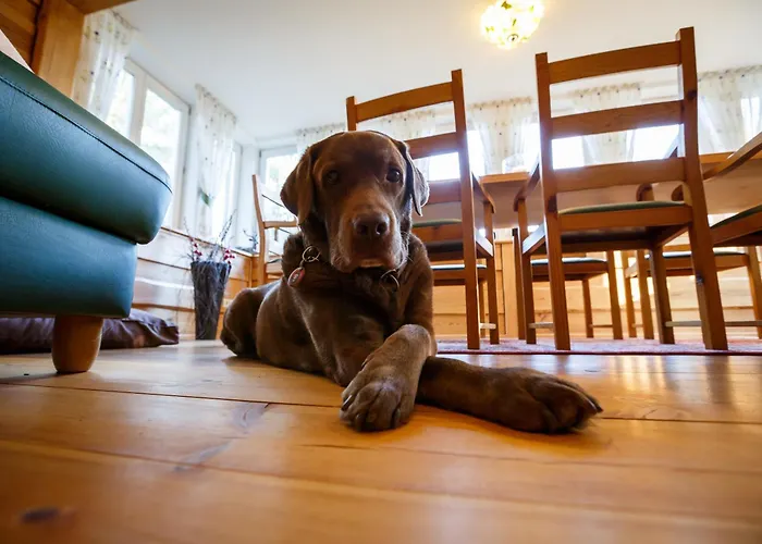 Haus Schrammsteinblick Дом отдыха